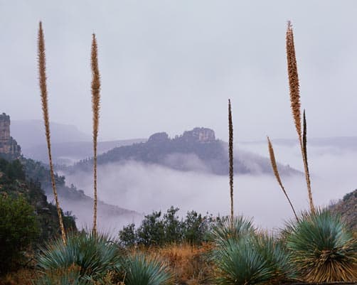 Arizona's Salt River Canyon