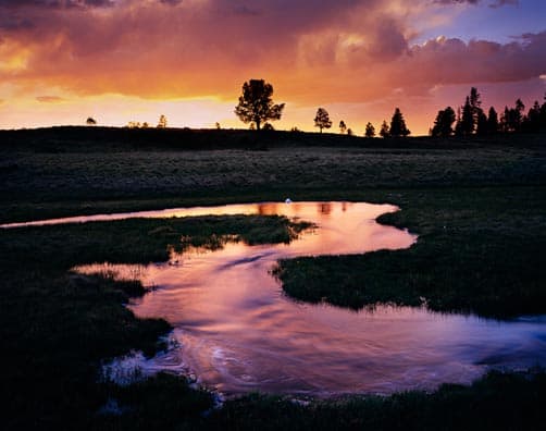 White Mountains Arizona