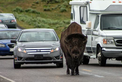 Grand-Teton-National-Park