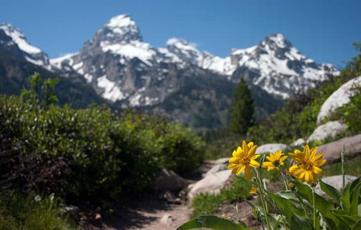 Tetons-2