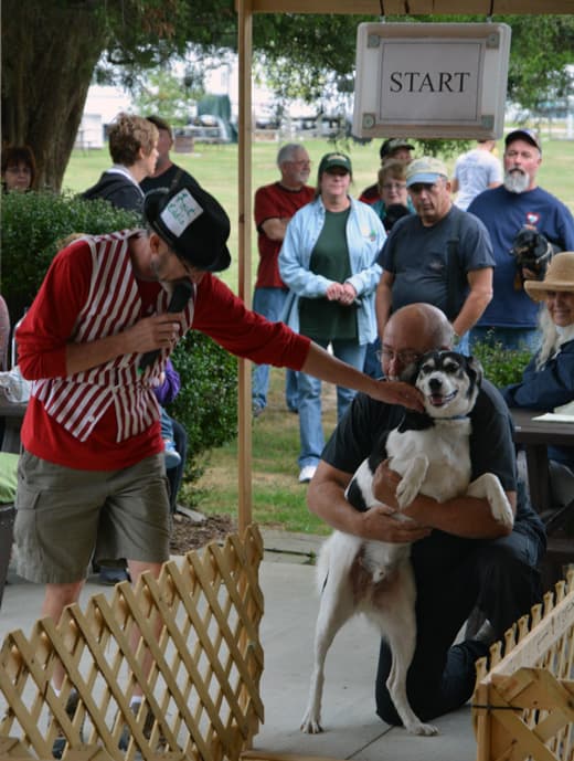 Gettysburg-2013-dog-maze-winner