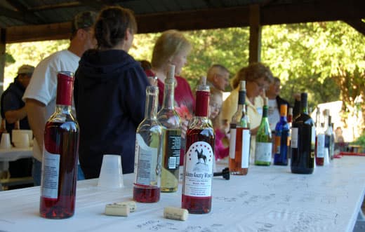 How-To-Run-A-Rally-wine-tasting