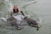 Florida-Camping-Dolphins