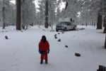 California-Laguna-Campround-snow