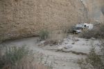 California-fish-creek-3