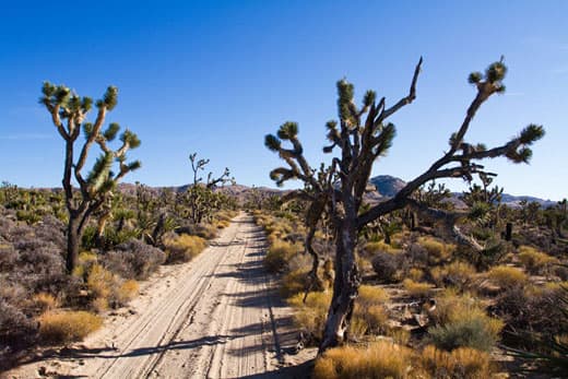 Mojave-california-desert