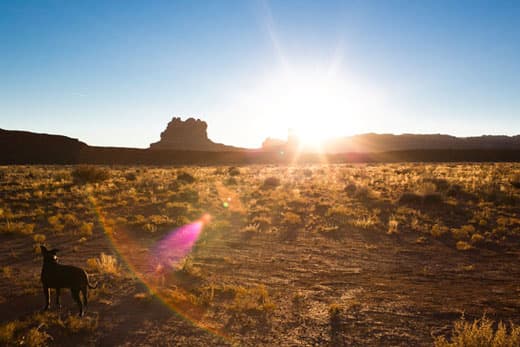 valley-of-the-gods-utah