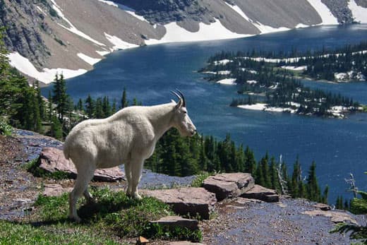 Glacier National Park