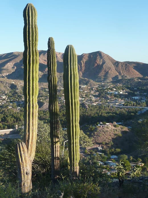 favorite-road-mexico