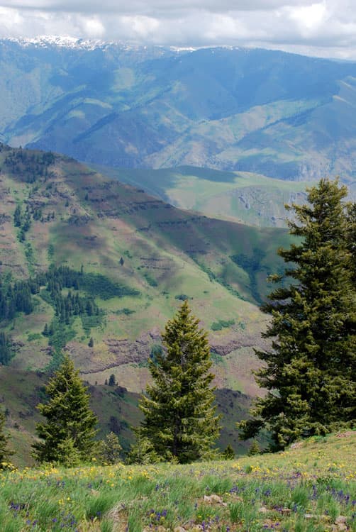 Hells Canyon Overlook in Oregon