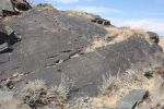 Ross-PoleCanyonNvPetroglyphs-21