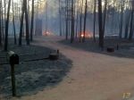 Black-Forest-Fire-1