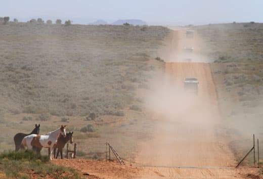 EXPO-muley-road