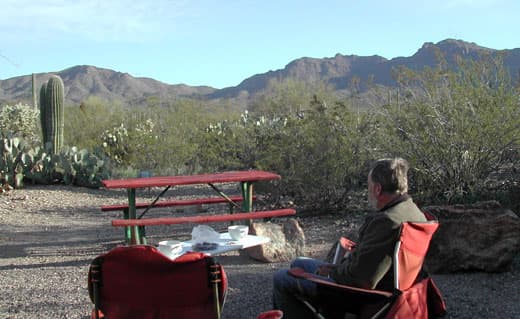 big-life-Saguaro-NP-AZ