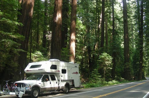 california-redwood-national-park