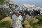 Canada-cape-St-Mary-Ecological-Reserve3