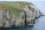 Canada-cape-St-Marys-Ecological-Reserve