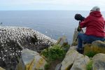 canada-Cape-St-Marys-Ecological-Reserve2