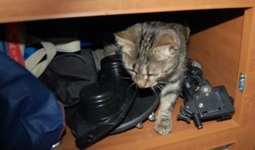 Harley in metal detector storage area