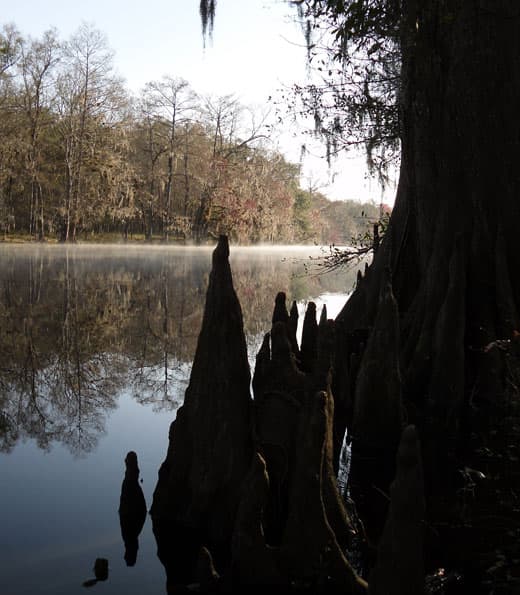 Sante Fe River Florida