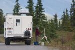 diana-painting-in-Denali-National-Park