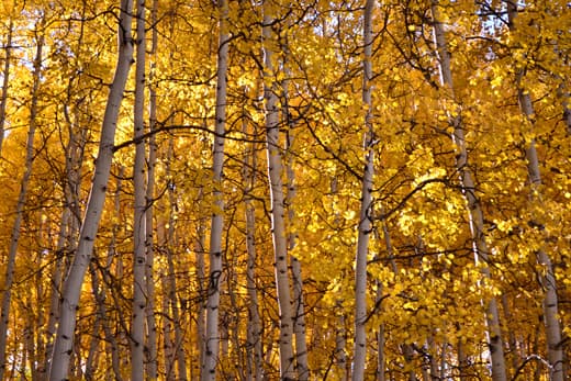 Gunnison-to-Aspen