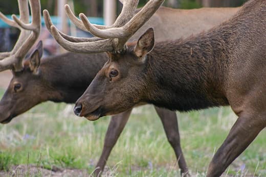 Rocky Mountain National Park