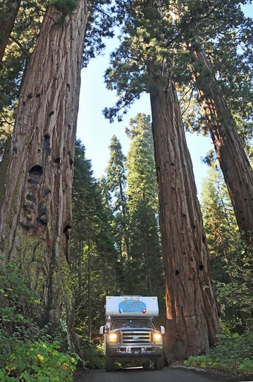 Sequoia-National-Park-California