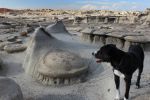 Gentry-Bisti-Badlands-NM-004