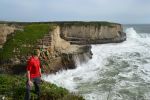Gentry-Santa-Cruz-shore-line-005