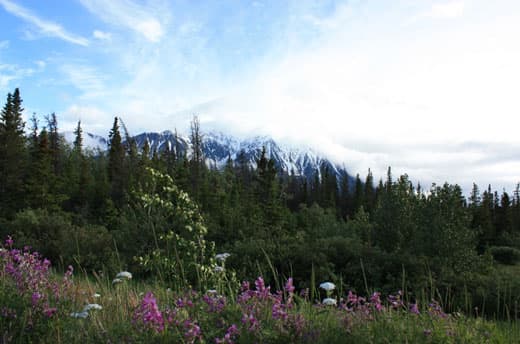 Escape-Pod-Alaska-Highway-Yukon