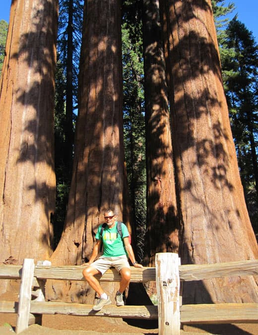 Escape-Pod-Sequoia-California