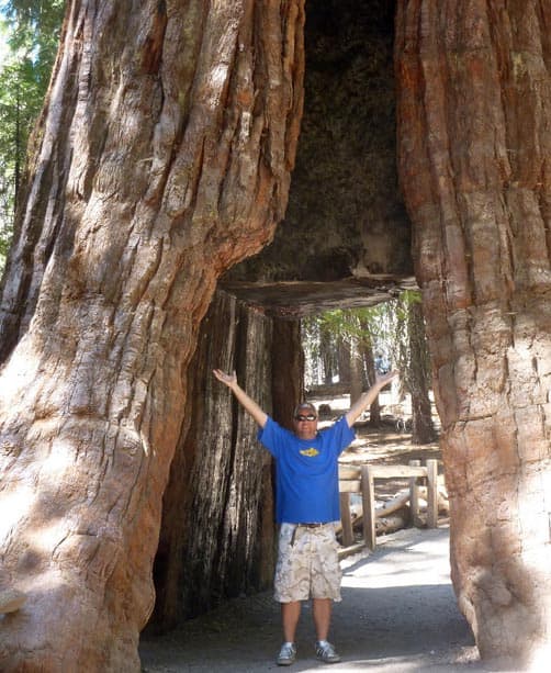 Dan and the Sequoias in California