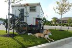 pet-camping-7