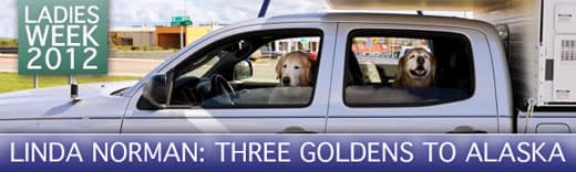 3-goldens-four-wheel-camper