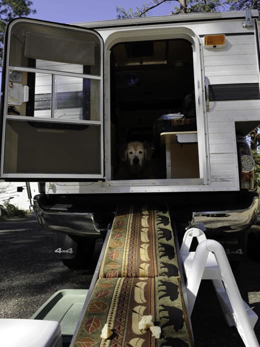 camper-dog-ramp