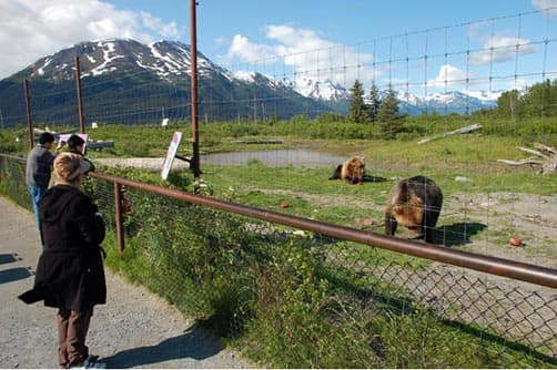 Alaska Wildlife Conservation Center