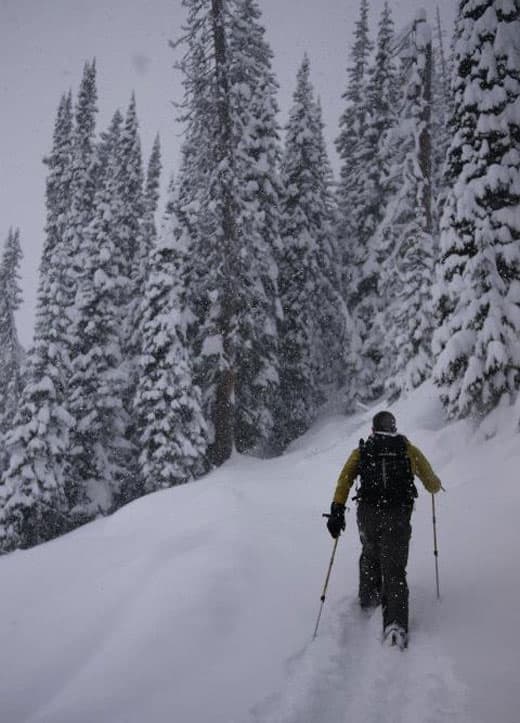 Karchut-cross-country-skiing