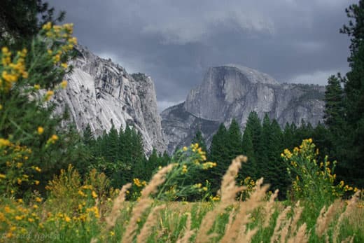 Yosemite_3087