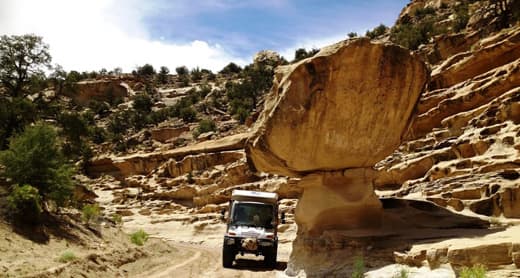 unimog-off-road