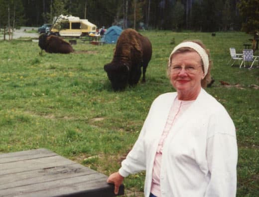 Yellowstone-Buffalo