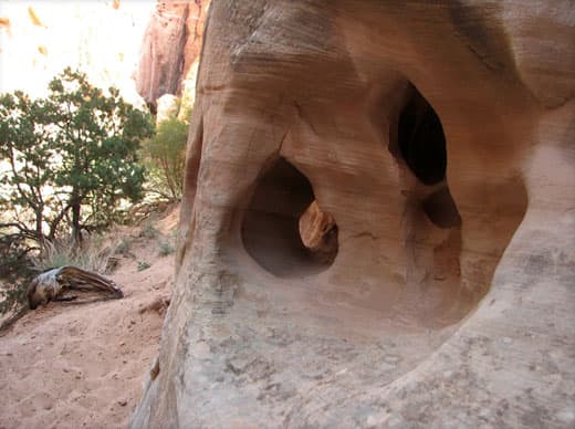 Capitol-Reef-National-Park-15