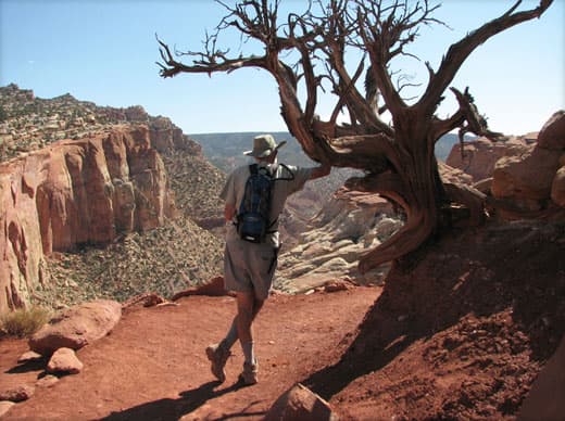 Capitol-Reef-National-Park-Grand-Wash