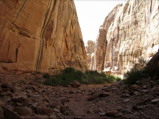 Capitol-Reef-National-Grand-Wash