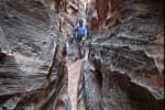 Capitol-Reef-National-Park-13