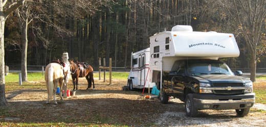 towing-horse-trailer-noeeis-1