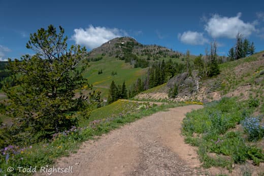 Yellowstone-National-Park-16