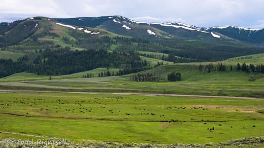 Yellowstone-National-Park-23