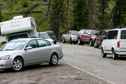 Yellowstone-traffic-24