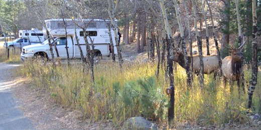 favorite-campground-colorado-moraine-campground